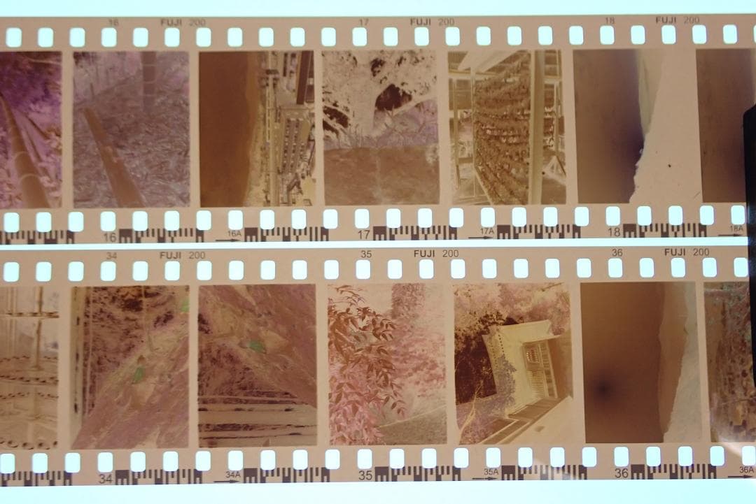 オリンパスペンD 実写済み OLYMPUS PEN D