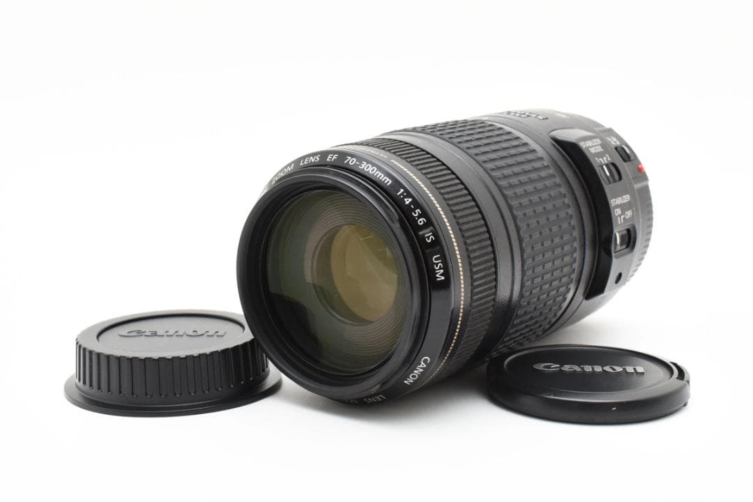キャノン EF 70-300mm f/4-5.6 IS USM AF 9533