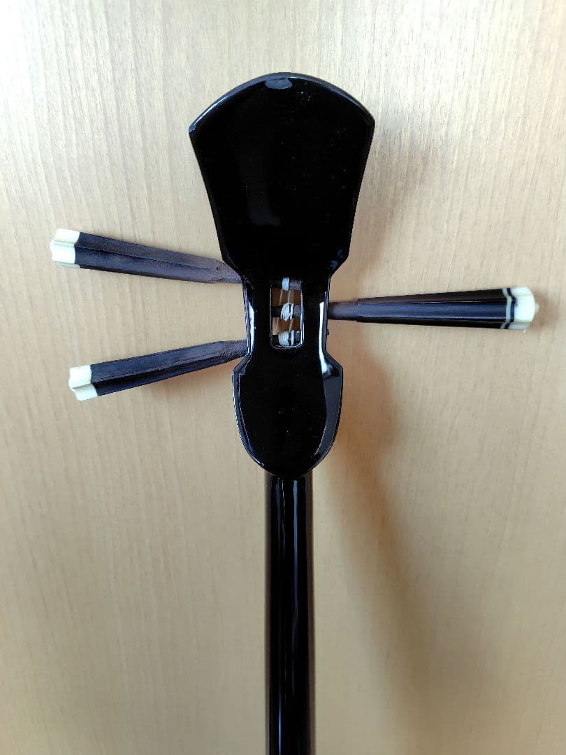 三線本体 人工皮革 蛇皮模様 ハードケース付き