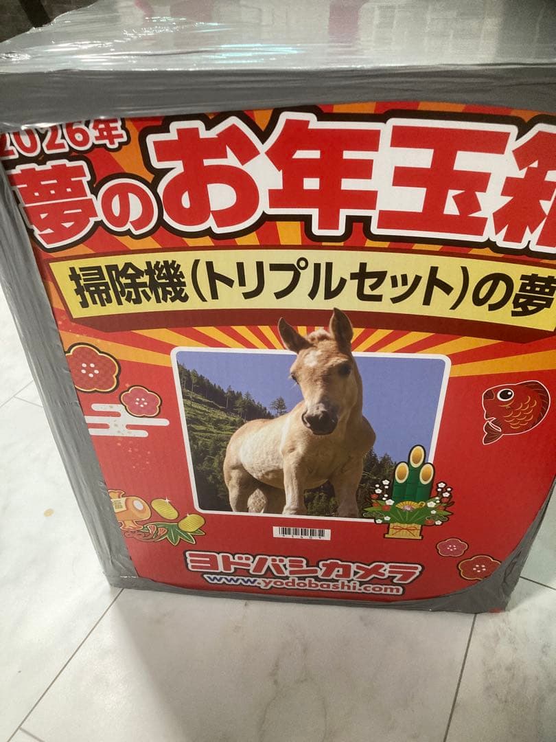 未開封ヨドバシカメラ　2026夢のお年玉箱　掃除機（トリプルセット）福袋