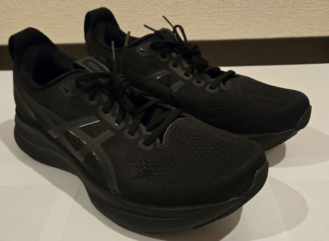 ASICS (アシックス) GEL-KAYANO 32 メンズ サイズ 28cm