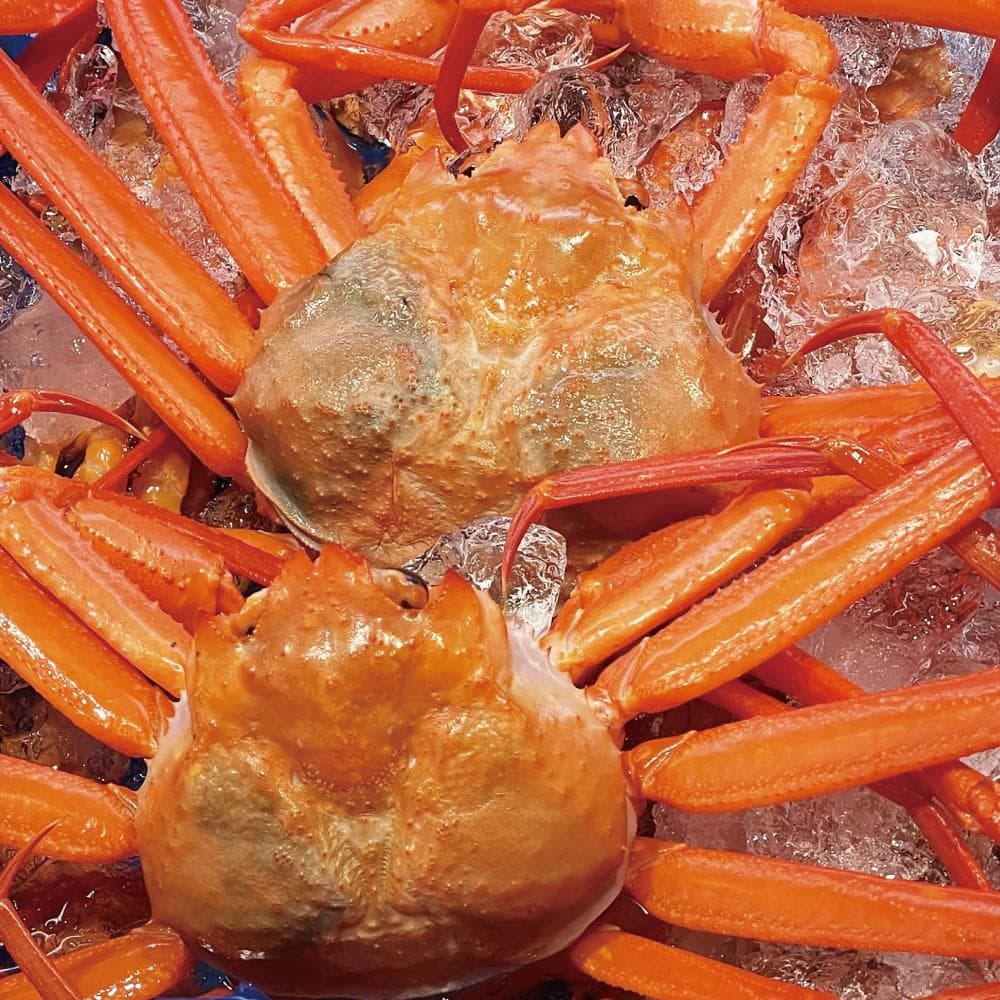 限定20％OFFセール【国産高級缶詰】無添加かにみそ缶12缶セット まとめ買い