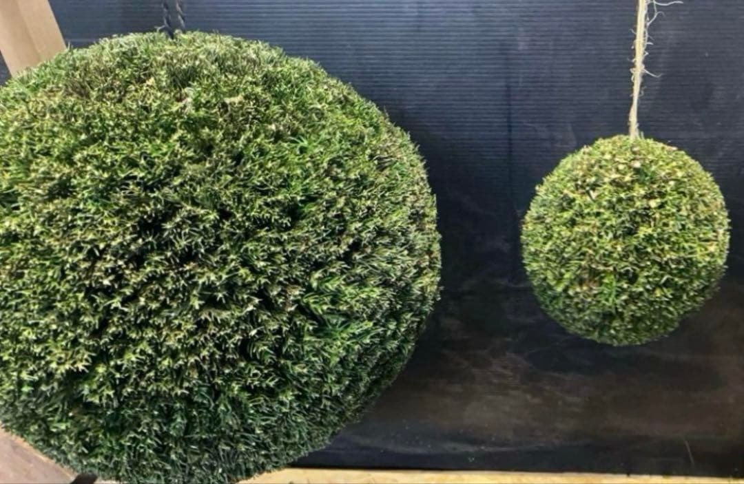 杉玉　約40センチ　屋根付き‼️お客様ご注文品♪