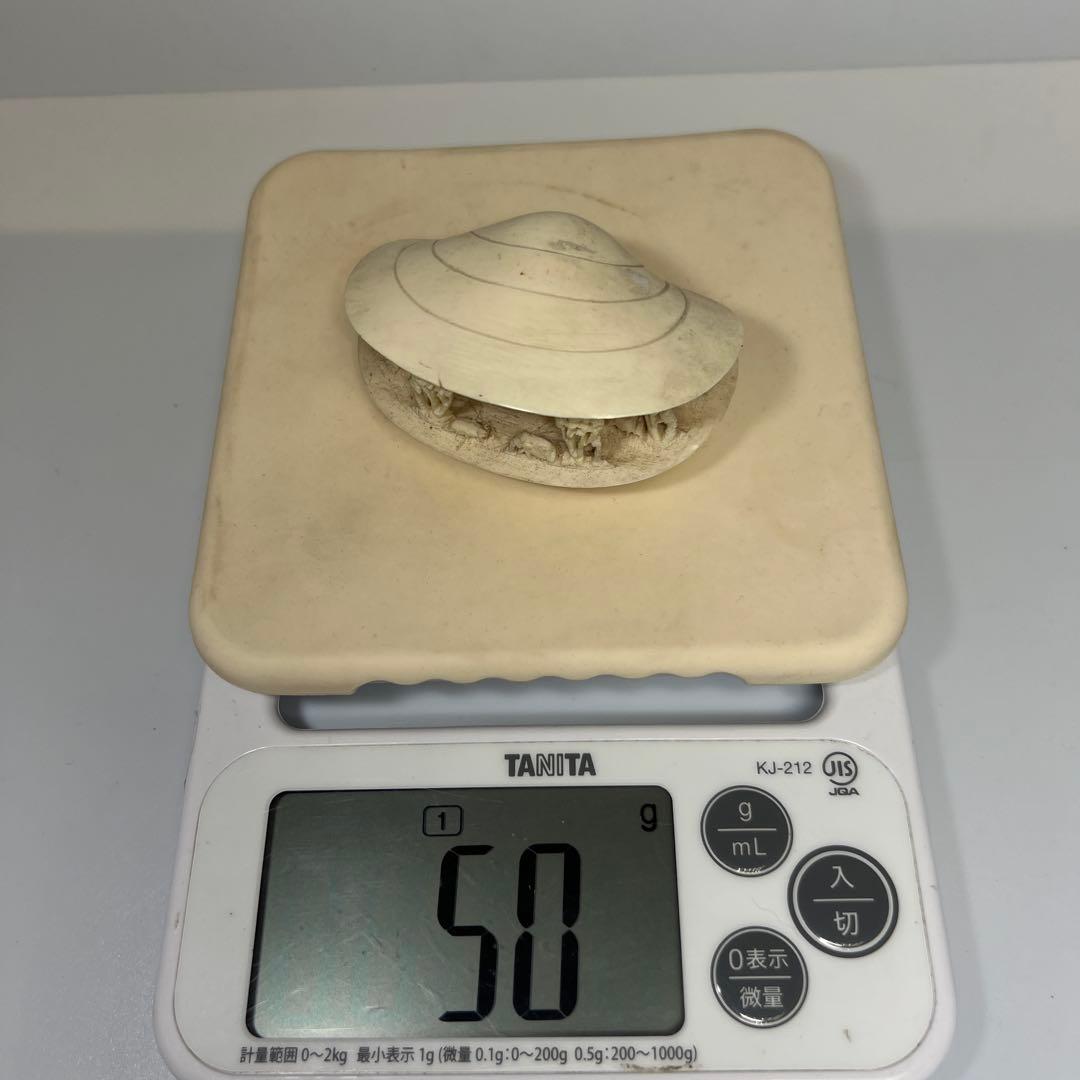 極上貝透彫置物　50g/横幅約7㎝　東Y8-0109☆2Fタサオ