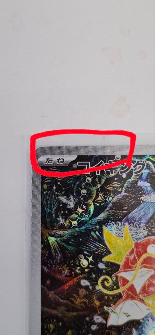 ポケモンカード コイキング ナンジャモ