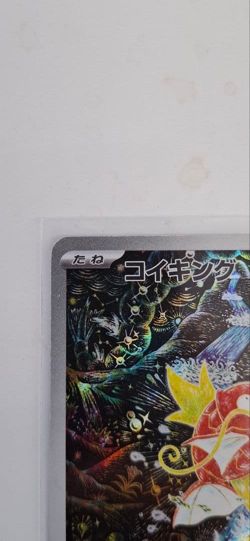 ポケモンカード コイキング ナンジャモ