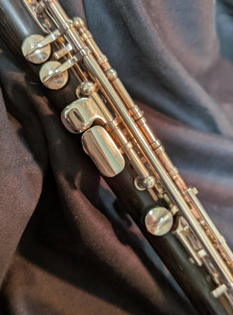 【ハム】Bulgheroni ブルゲローニ ピッコロ 401R