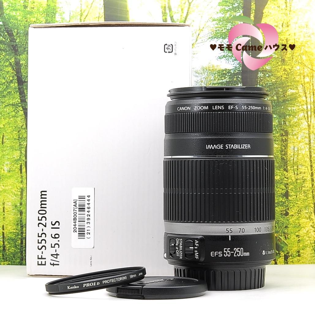 スポーツシーン必須！☆Canon EF-S 55-250mm☆手振れ補正付