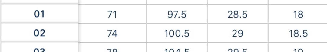 MADISONBLUE カーゴパンツ オリーブグリーン サイズ01