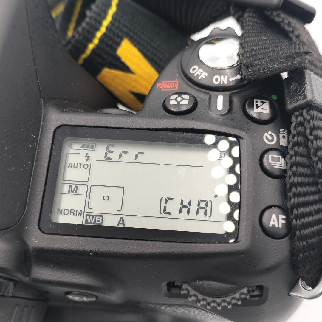 Nikon D90 一眼レフ ボディ 本体【Q278】