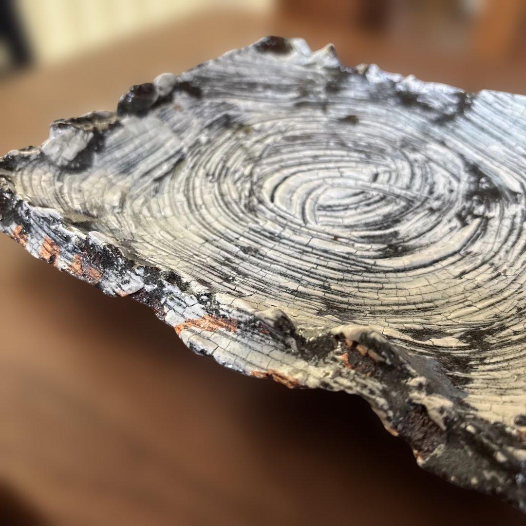 【唐津焼中川自然坊窯】刷毛目唐津四方もち上げ皿②