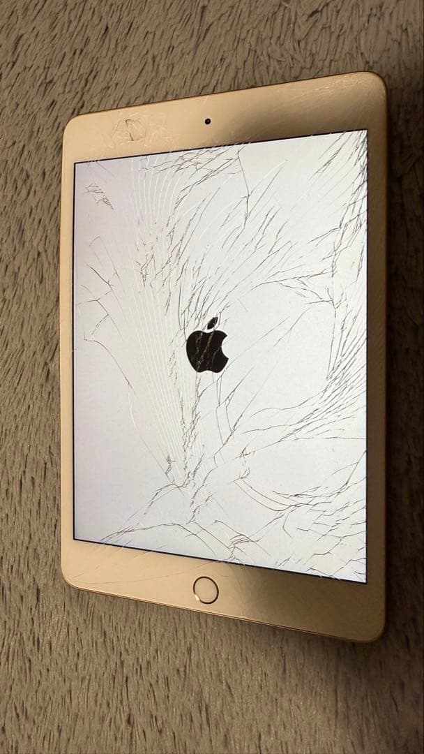 【ジャンク品】Apple iPad mini 第5世代　64GB 　本体のみ