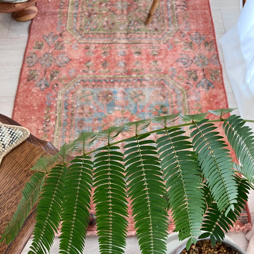 シャビーオレンジ78×190/ 3Box ブルーグリーン　トルコヴィンテージラグ