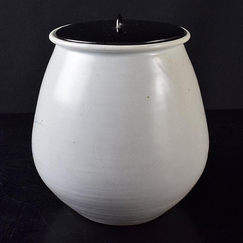 銀杏の木 　安東五作　樊川窯　青華　花文　水指　共箱　M　R8709B