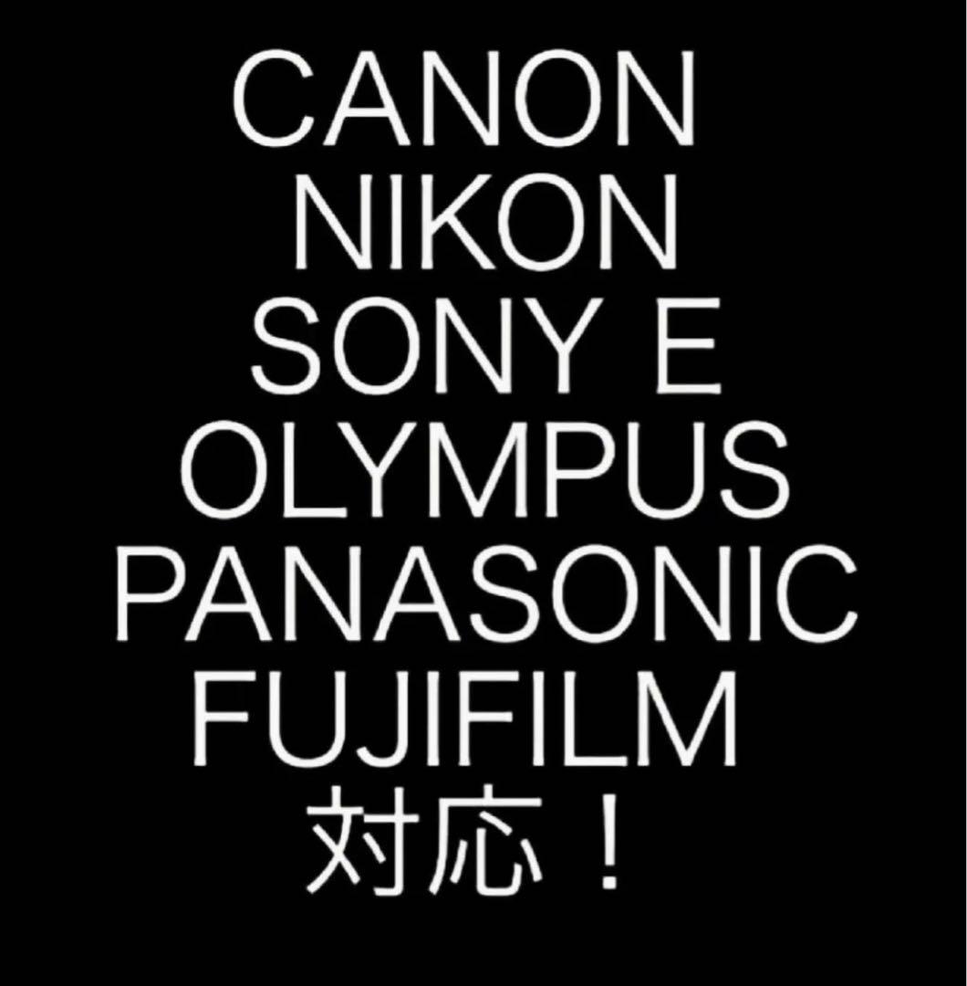 ストロボの決定版！初心者OK！憧れの遠隔フラッシュ！カメラマン必須！美品おすすめ