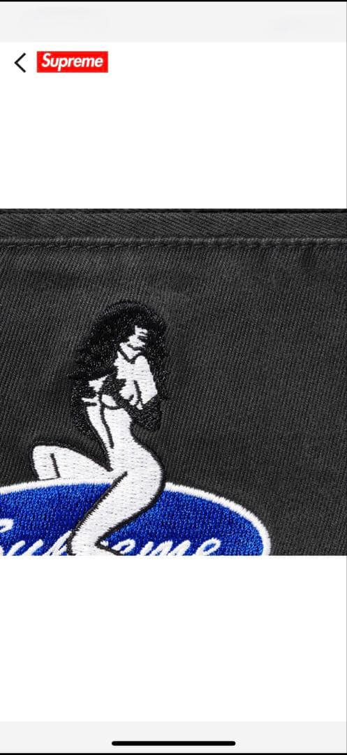 Supreme Pin Up Chino Pant チノパンツ　シュプリーム