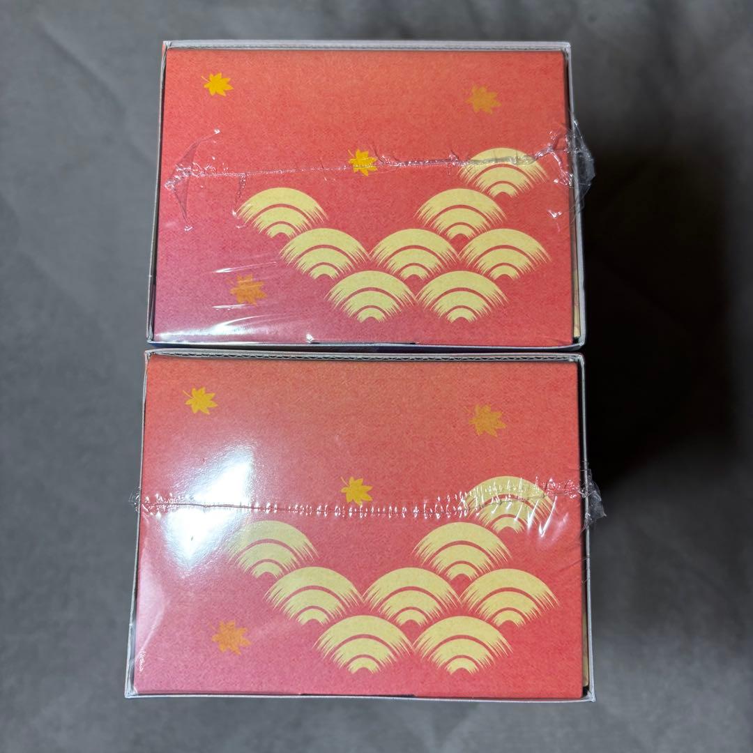 未開封 シュリンク付き ポケモンセンター ヒロシマ スペシャルBOX 2BOX