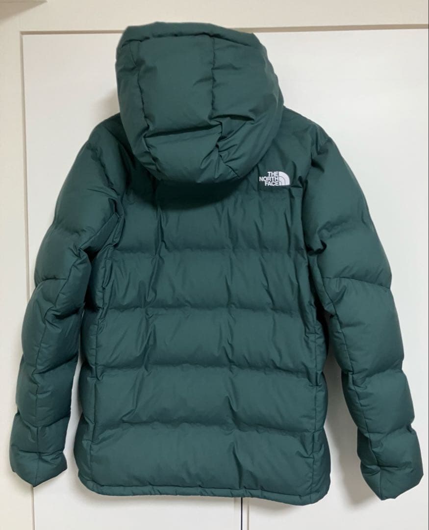 THE NORTH FACEノースフェイスのGORE-TEXダウンジャケット　M