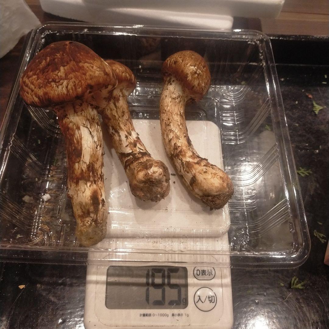 ③信州産 松茸　長野県　クール便　190g