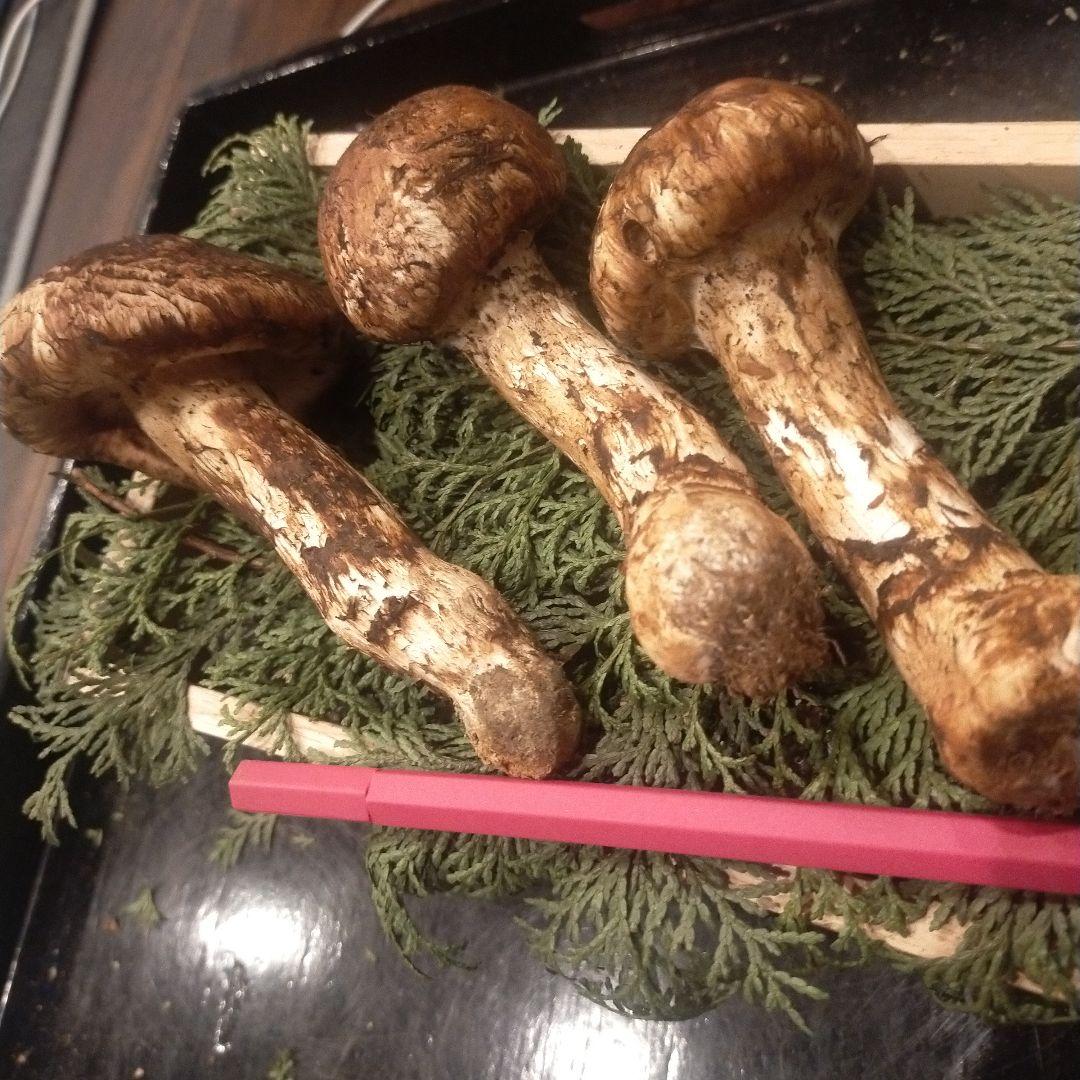 ③信州産 松茸　長野県　クール便　190g