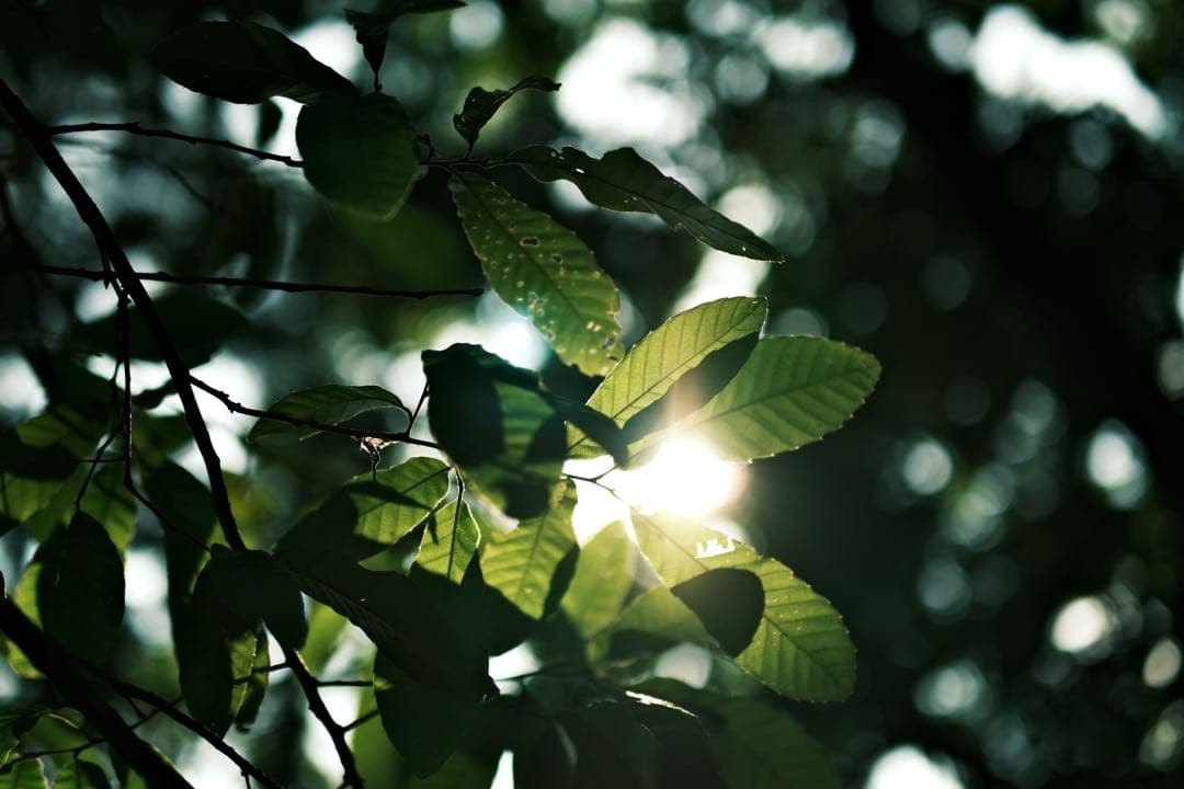 【保証書付き】Fujifilm X-M5 ミラーレス一眼 本体　レンズ付き