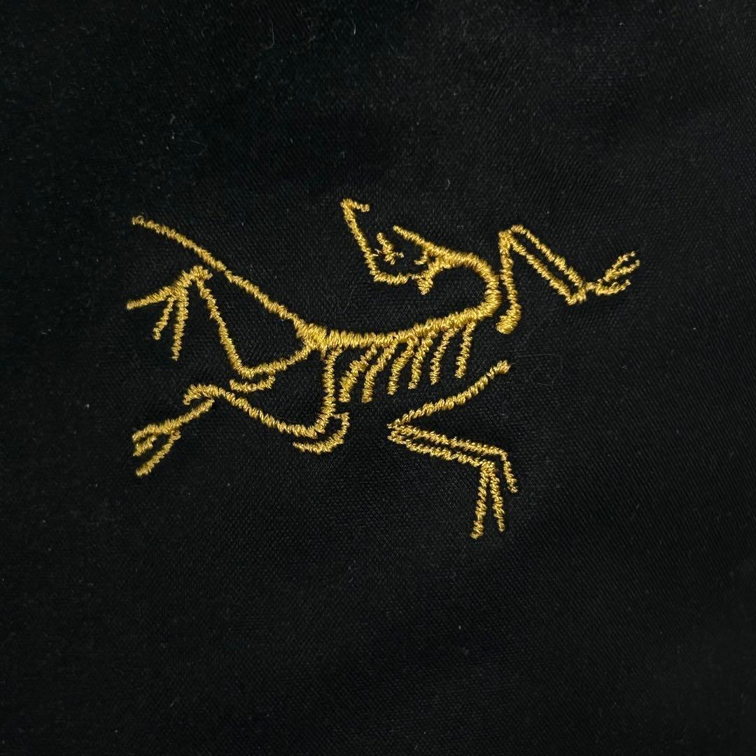 希少 アークテリクス バックパック arro16 廃盤 ブラック