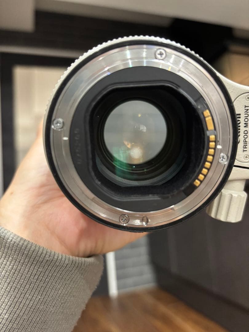 Canon EF70-200mm f/2.8L IS II USMフィルタ9点付