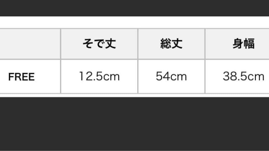 HYSTERIC GLAMOUR SPEEDSTER チビTシャツ