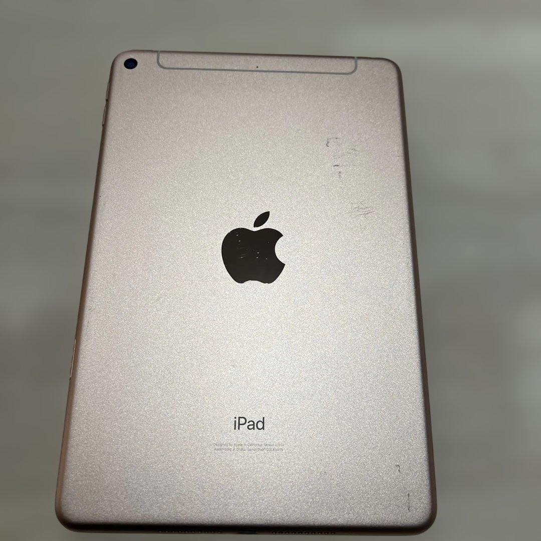 iPadmini第5世代セルラーモデル64GB本体のみ 背面カメラ故障