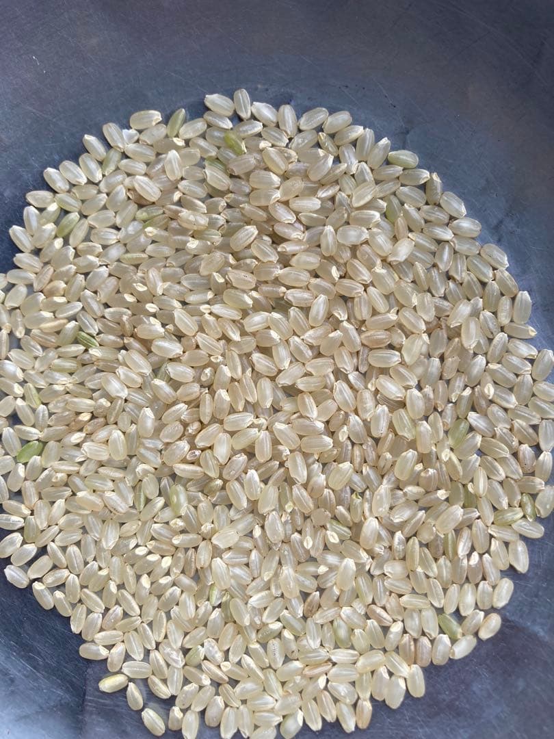 魚沼産コシヒカリ精米10㌔