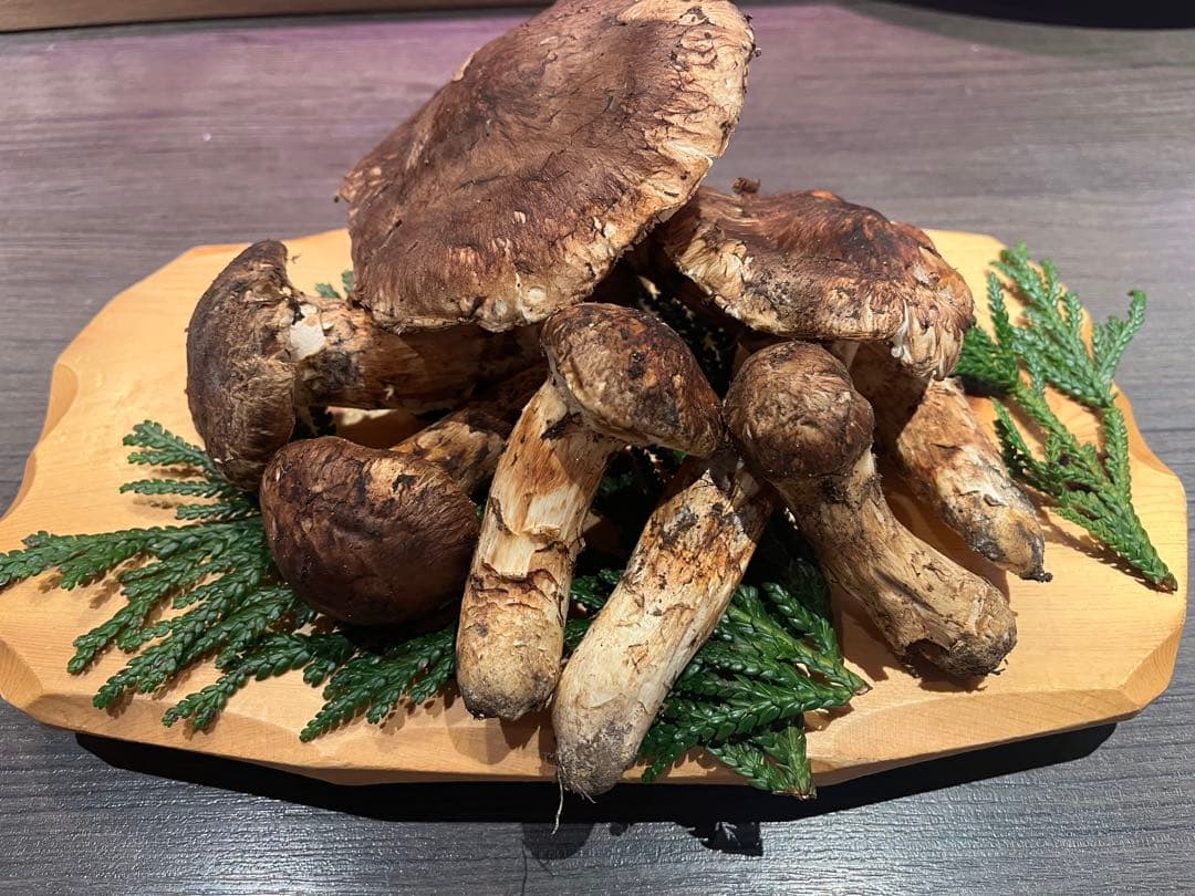 青森県下北産天然松茸280g