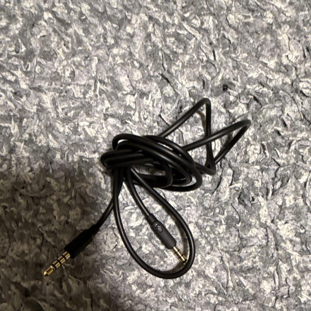 動作確認済み CrusherEvo TrueBlack Skullcandy