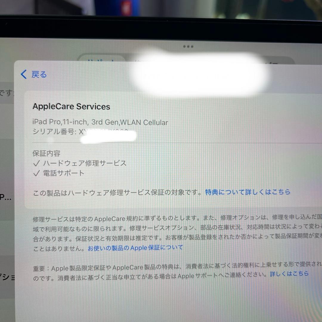 iPad Pro 11インチ M1 1TB/16GBWi-fi+Cellular