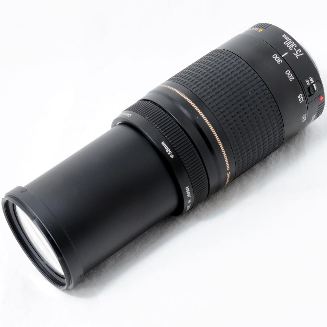 ⭐️美品⭐️Canon キャノン EF 75-300mm F4-5.6 ⅡUSM