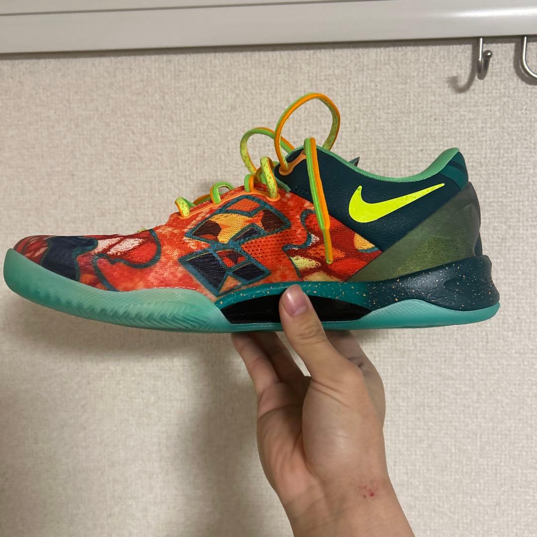 今週限定価格　Kobe8 protro What the