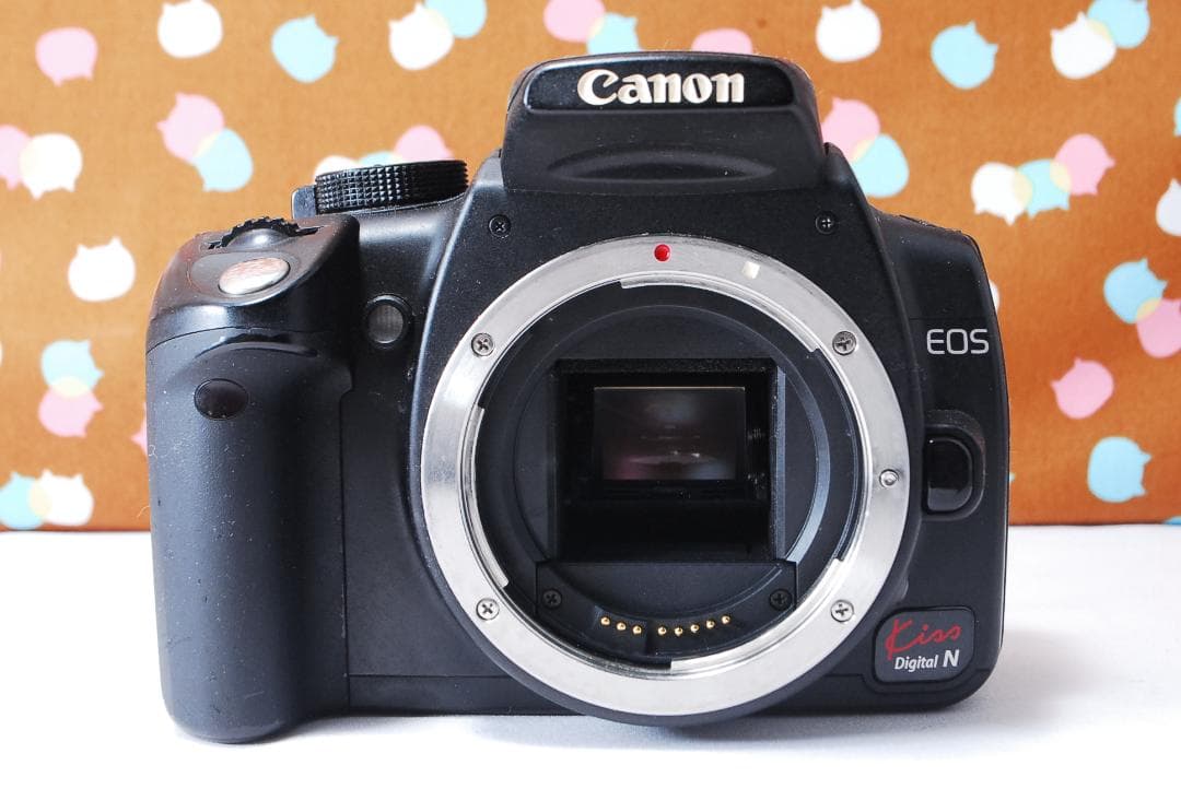 ✨ストロボセット✨Canon Kiss Digital N レンズセット