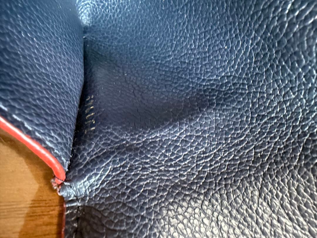 LOUIS VUITTON ネイビー ケース