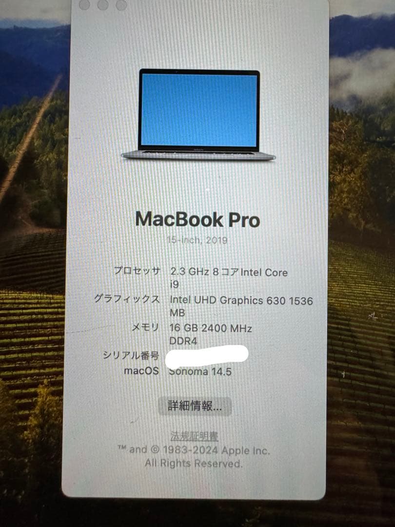 MacBookPro15インチ 2019 i9 SSD 512GB 16GB