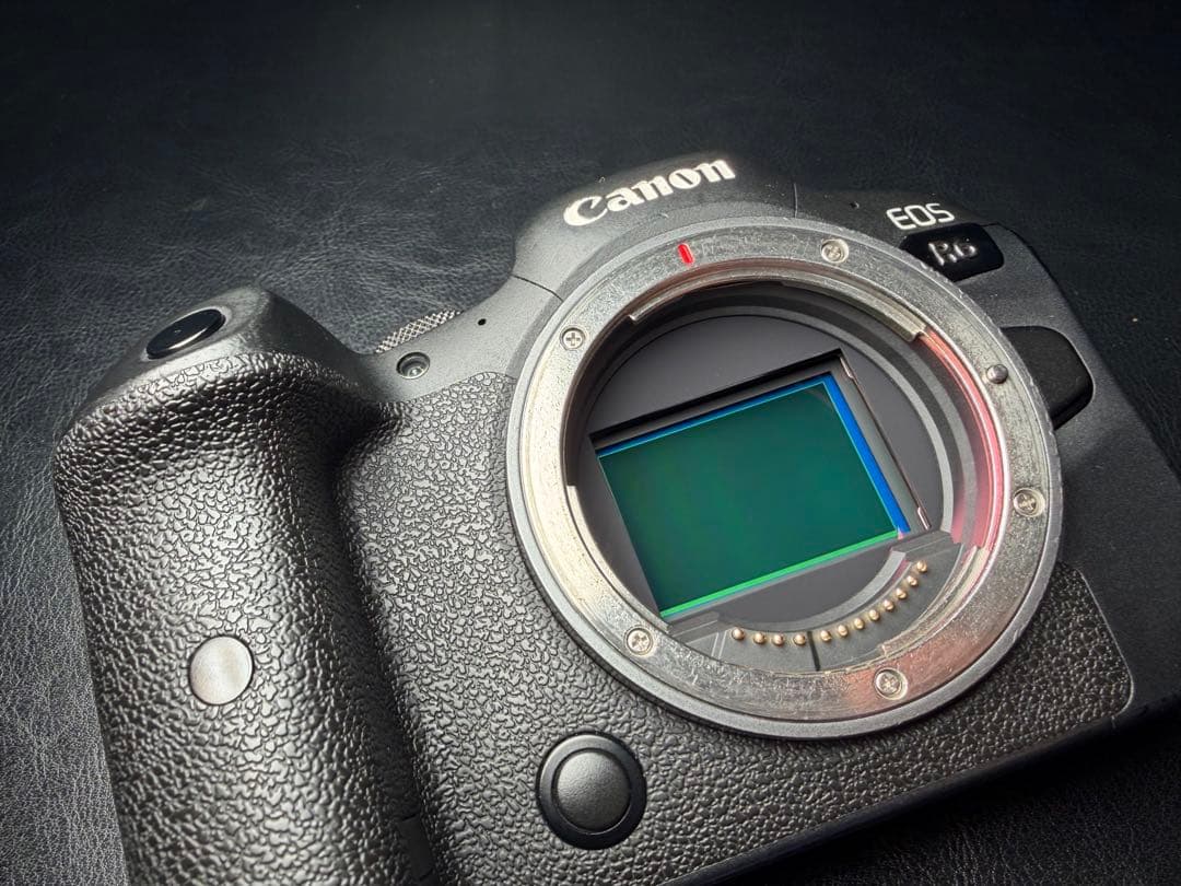 Canon EOS R6 デジタル一眼レフ 本体 バッテリー２個セット(073)