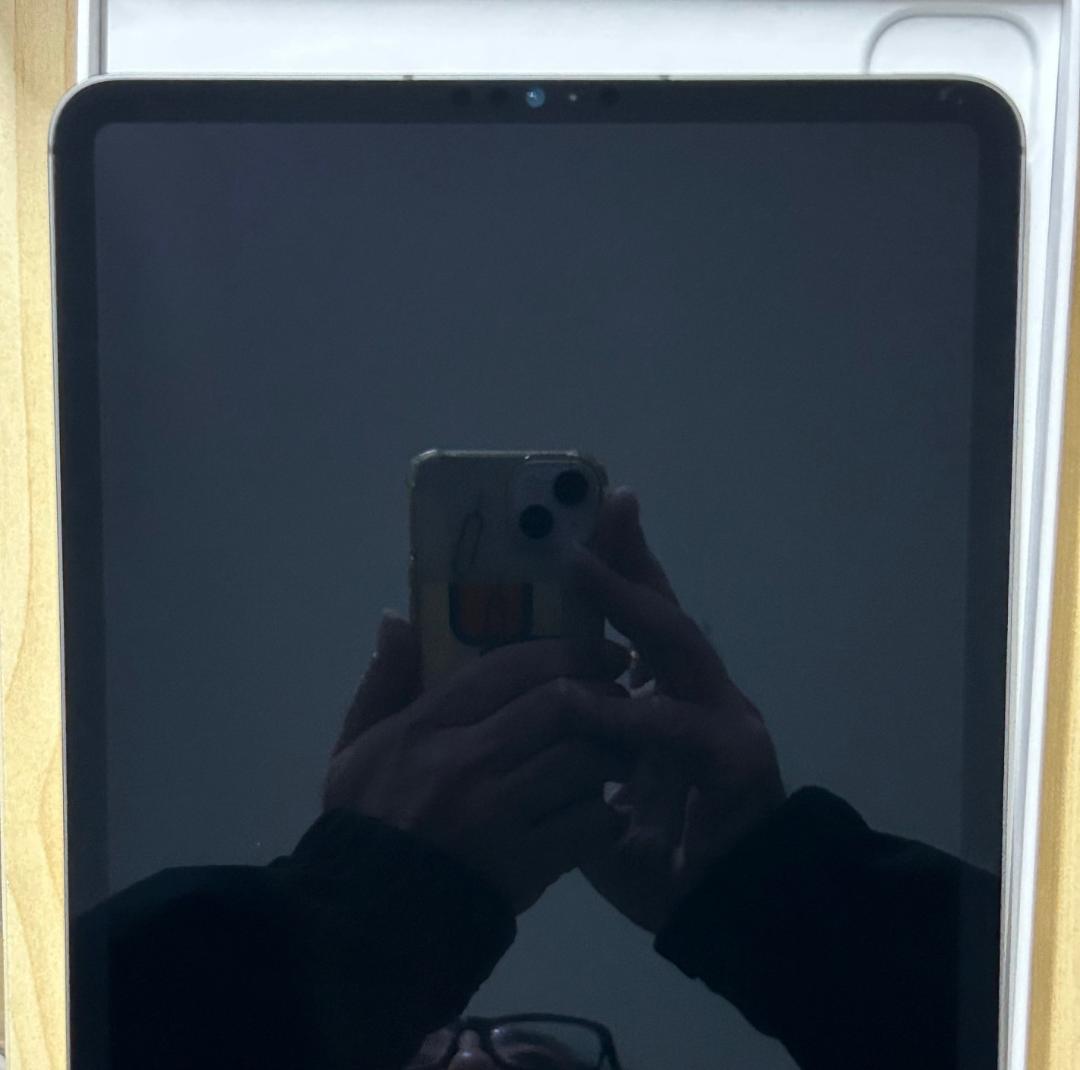 値下 Apple iPad Pro (11インチ, 第3世代) 512GB (8