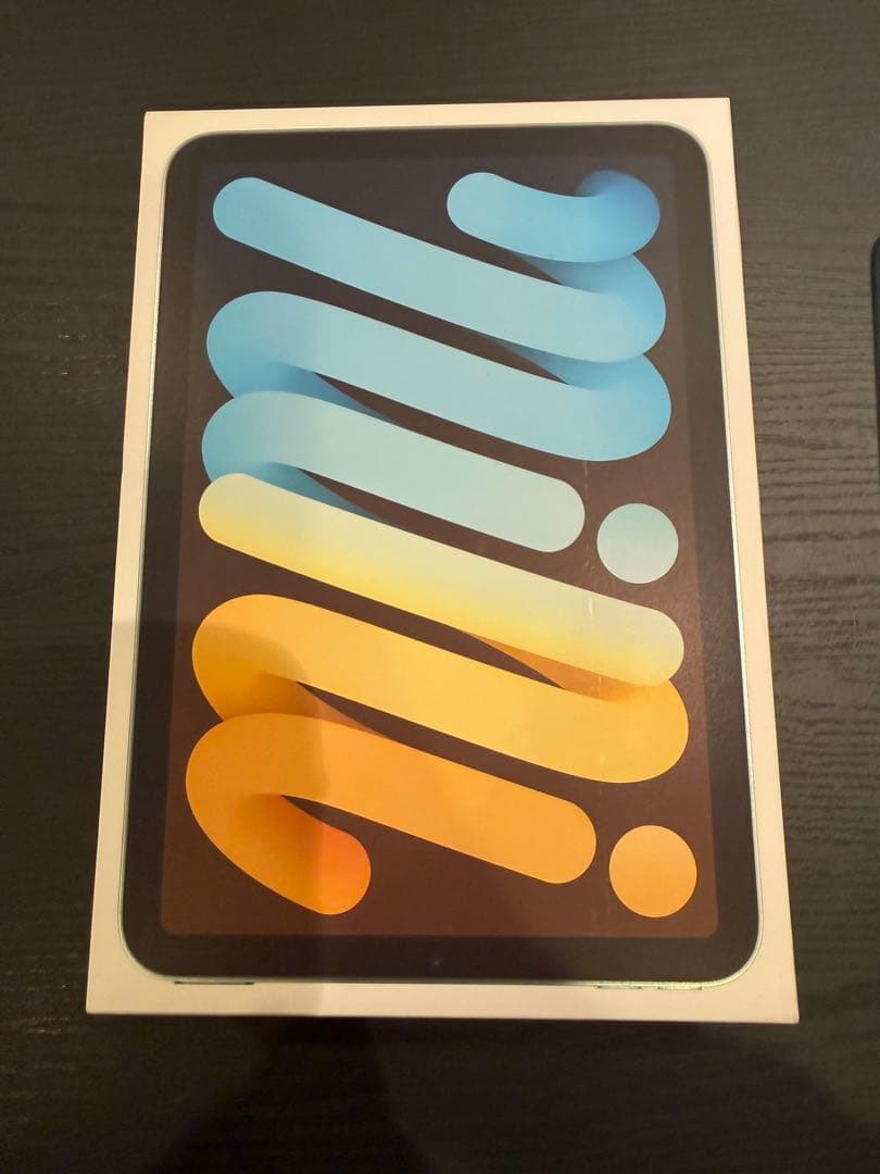 【美品】Apple iPad mini17 pro Wi-Fiモデル　128GB