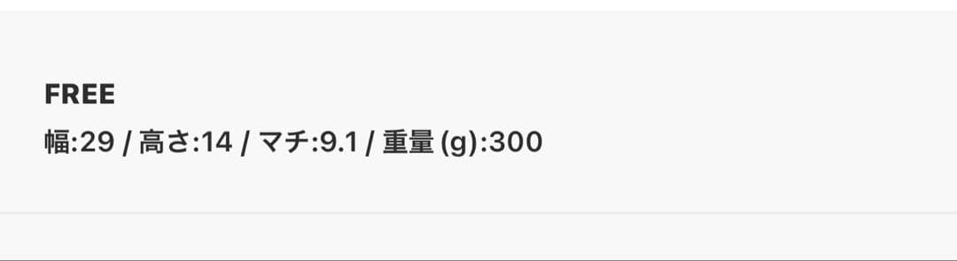 アダムエロペ ショルダーバッグ 新品未使用