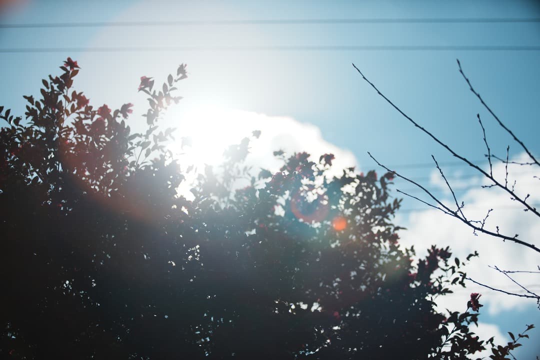 【整備＆テスト済】Canon EF 80-200mm F2.8 L 202