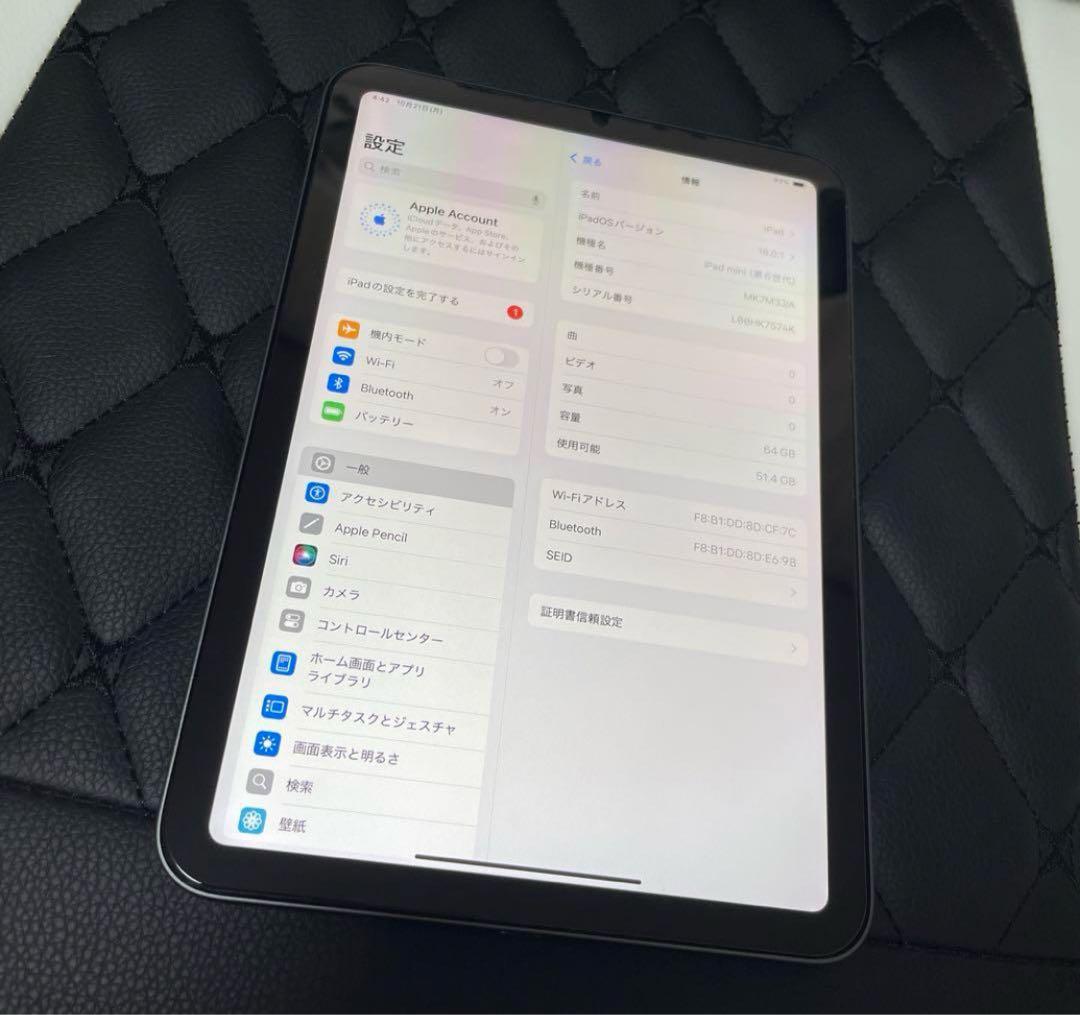 iPad mini (第5世代) 64GB スペースグレー 極美品
