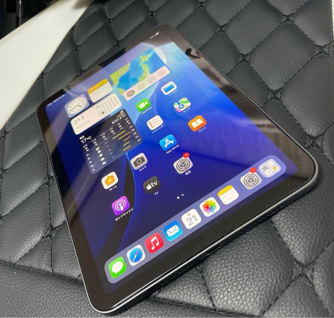 iPad mini (第5世代) 64GB スペースグレー 極美品