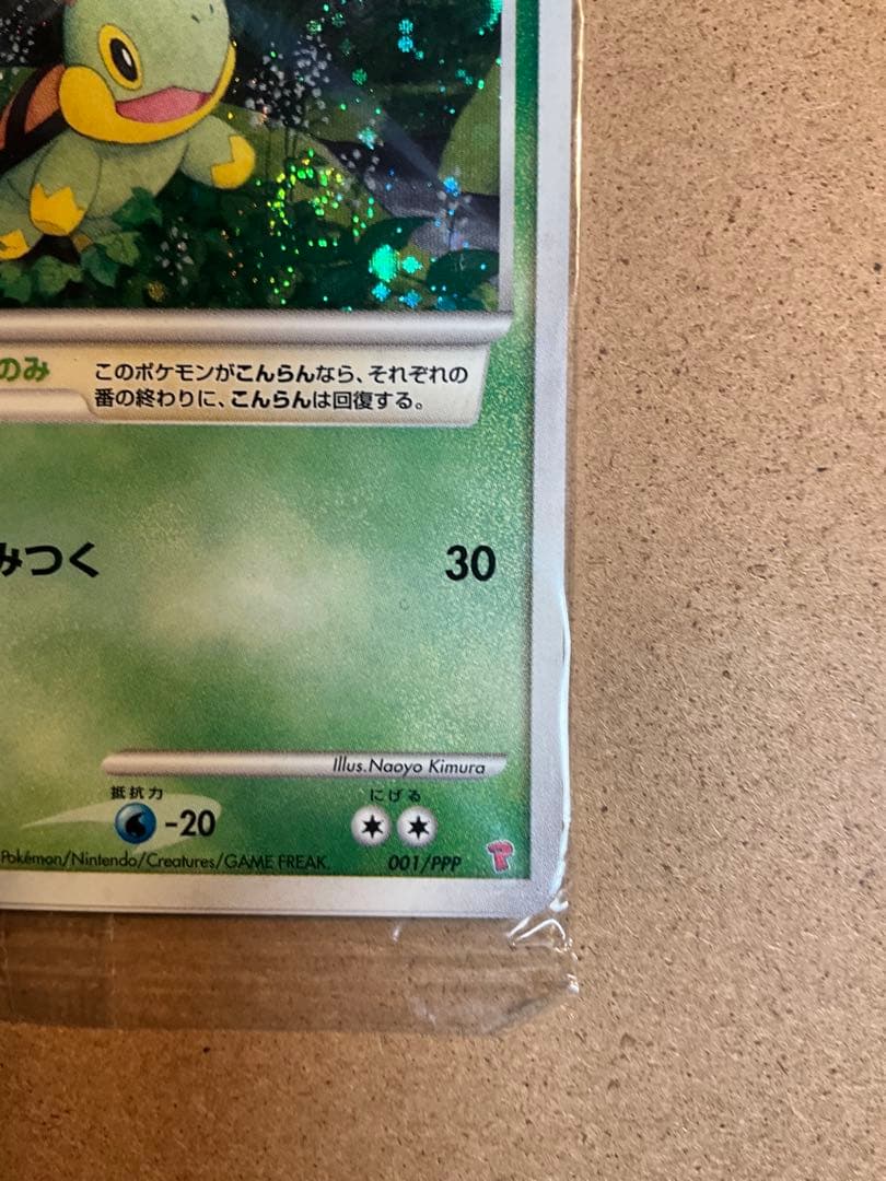 ナエトル ヒコザル ポッチャマ ポケモンカード プレイヤーズ未開封