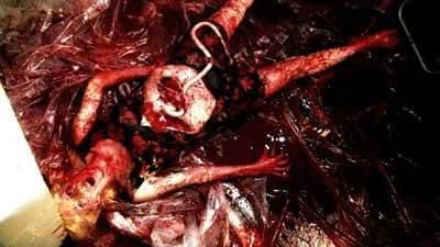 【専用】SLOW TORTURE PUKE CHAMBER DVD　ホラー