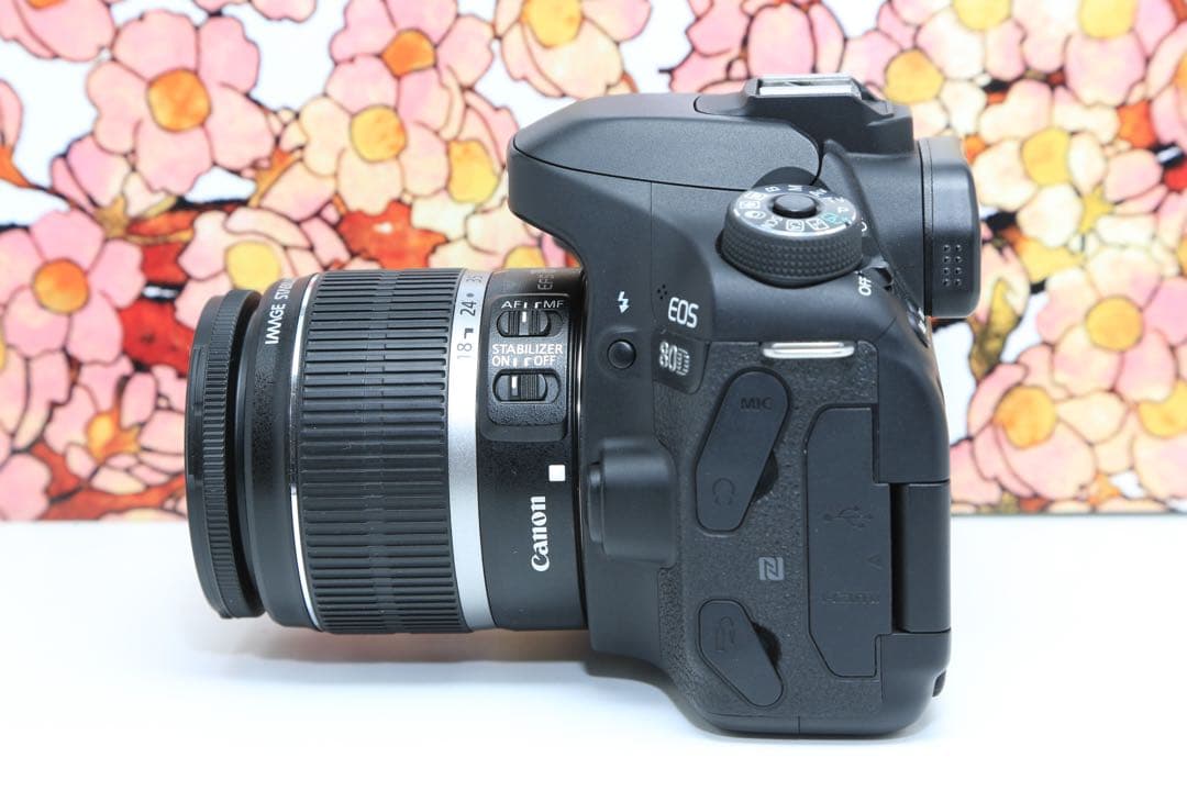 ❤️ハイスペック❤️キヤノン Canon EOS 80D レンズセット❤️