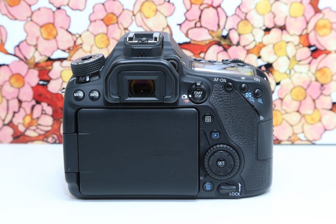 ❤️ハイスペック❤️キヤノン Canon EOS 80D レンズセット❤️