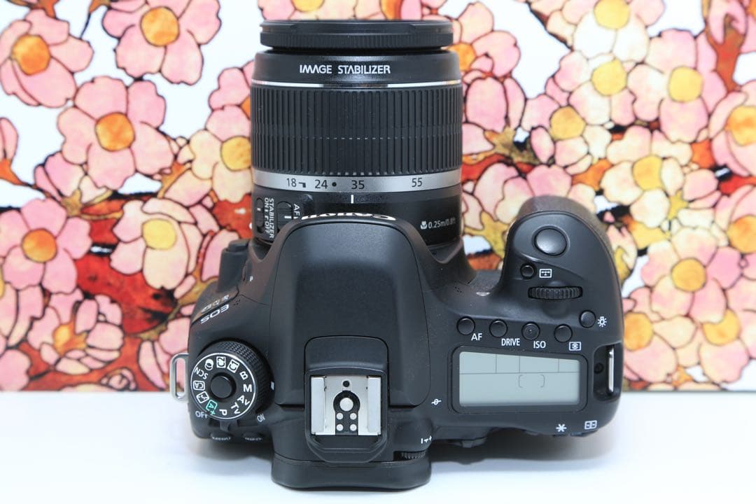 ❤️ハイスペック❤️キヤノン Canon EOS 80D レンズセット❤️